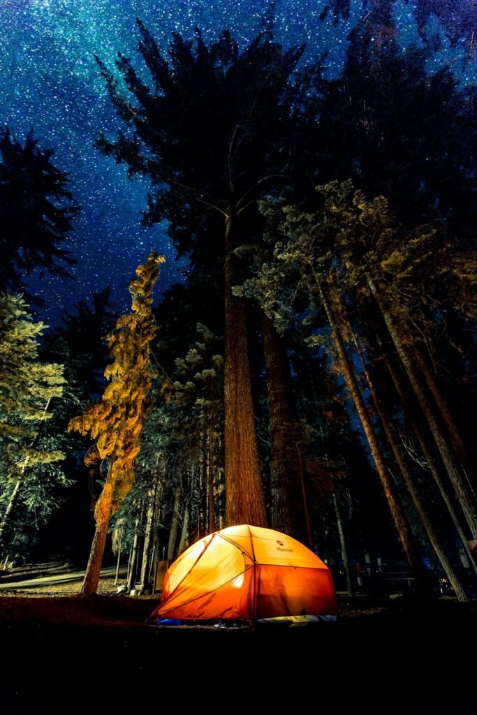 OUTPOST SIERRA ULTRALIGHT MESH BIVVY SWAG